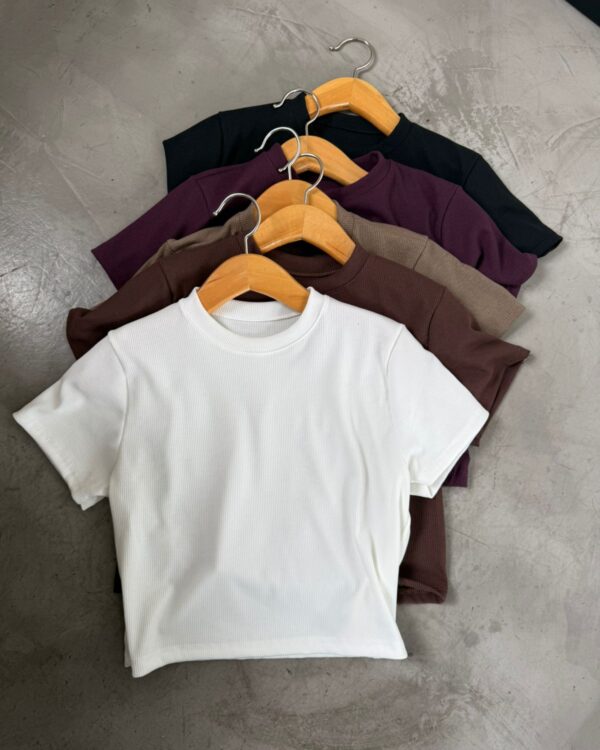 art.001 Rem báscia morley