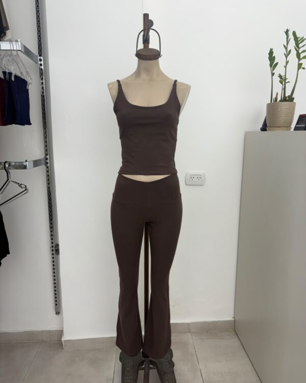 art.202 Musculosa básica